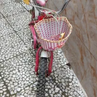 دوچرخه دخترانه سایز ۲۰|دوچرخه، اسکیت، اسکوتر|رشت, معلم|دیوار