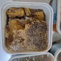 عسل اویشن درجه یک|خوردنی و آشامیدنی|اهواز, کیانشهر|دیوار