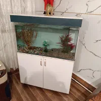 اکواریوم شیشه خم ۱ متری|ماهی|سلماس, |دیوار