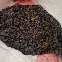 زرشک کوهی|خوردنی و آشامیدنی|تهران, امام حسین|دیوار