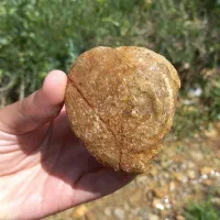 سنگ سیترین نباتی|جواهرات|برخوار, |دیوار