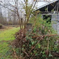 فروش ویلا 210 متری بابنای 85 متری ویو ابدی شالیزار|فروش خانه و ویلا|لشت نشا, |دیوار