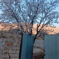 مزروعی.مسکونی
