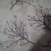 سلام دوستان عزیز وقت بخیر