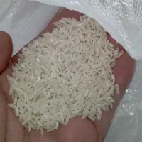 ۲۰ کیلو برنج طارم هاشمی اصل|خوردنی و آشامیدنی|قائم‌شهر, |دیوار