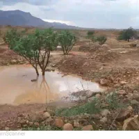 انجیرستان در بخش تم توره (فروش مساحت دلخواه شما )