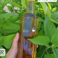 پخش روغن زیتون بی بو و بودار به تمام نقاط