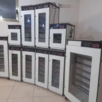 دستگاه جوجه کشی  zdضربه سه لـایــه