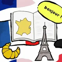 مدرس و مترجم زبان فرانسه