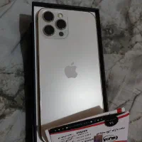 12 pro max