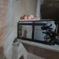 بره برقی|سایر لوازم برقی|زاهدان, |دیوار