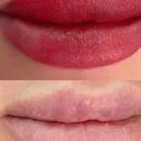 خدمات حرفه‌ای تتو بدن و آموزش تخصصی