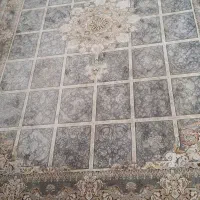 فرش ۹ متری|فرش|شاهرود, |دیوار