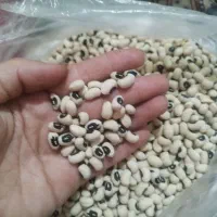 ماشه و لوبیا