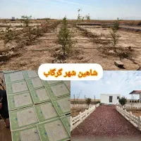 زمین200متری مسکونی باغ500متری اقساط30ماه شاهینشهر|فروش زمین و ملک کلنگی|خمینیشهر, |دیوار