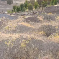 هزار و پانصد متر زمین در بسطام روستای سراب سقا|فروش زمین و ملک کلنگی|الشتر, |دیوار