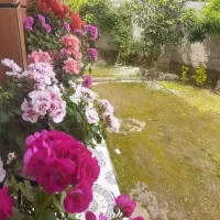 اجاره ویلا نوساز جنگلی کوهستانی ماسال