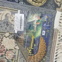 فرش ۶متری|فرش|میاندوآب, |دیوار