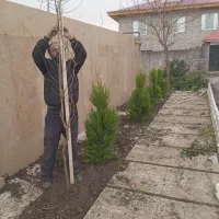 خدمات باغبانی وهرس