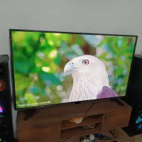 آل ای دی43اینچ سامسونگ کره سری جدید 4ماه کار|تلویزیون و پروژکتور|مشهد, امیر آباد|دیوار