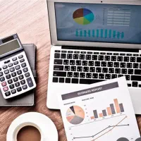 نیروی حسابداری حرفه ای