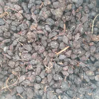 کشمش،مویز آفتابی بوانات شهدار گوشتی شیرین آمیرزا|عمدهفروشی|یزد, |دیوار