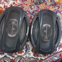 باند پایونیر 6965