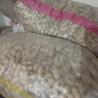 60 کیلو بادام درجه 1 سنندج