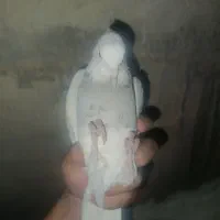 سلام یک جفت کبوتر طوقی هفت رنگ