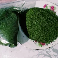 نعناع فلفلی