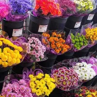 استخدام ادمین فوری
