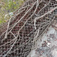 فنس باغی
