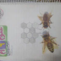 علوم نهم تیزهوشان