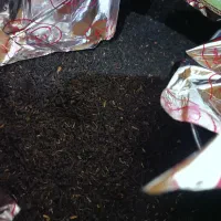 چای باروتی اصل