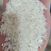 برنج درجه یک فجر طارم|خوردنی و آشامیدنی|گیلان غرب, |دیوار