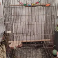 قفس بزرگ طلایی