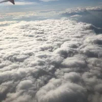 مهاجرت تخصص ما هستش