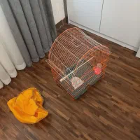 قفس پرنده|لوازم جانبی حیوانات|رشت, دروازه لاکان|دیوار