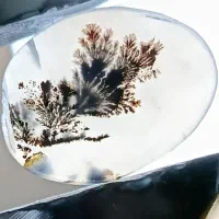 نگین شجر قائن|کلکسیون اشیاء عتیقه|قم, هنرستان|دیوار