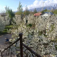 سوئیت اجاره ای در صمعه