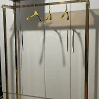رگال شیک طلایی