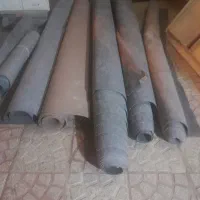 موکت. در حد نو نو و سالم. 250 متر صائب تبریزی|موکت|ارومیه, |دیوار