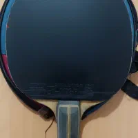 رویه evolution mxp|ورزشهای توپی|ساری, |دیوار