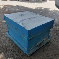 کندو زنبور عسل