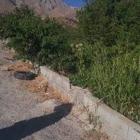 معامله امن
