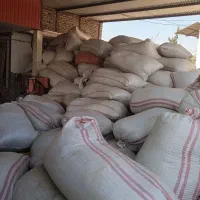 خارشتر.یانق|حیوانات مزرعه|آق قلا, |دیوار