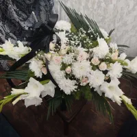 گل ترحیم نو|گل و گیاه طبیعی|تبریز, |دیوار