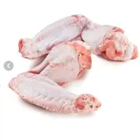 مرغ و اسکلت برای سگ و گربه