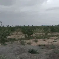 باغچه-آماده-سکونت