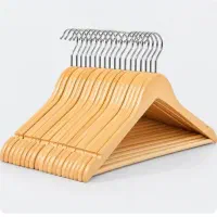 چوب کار لباس،نیم تنه پلاستیک توخالی